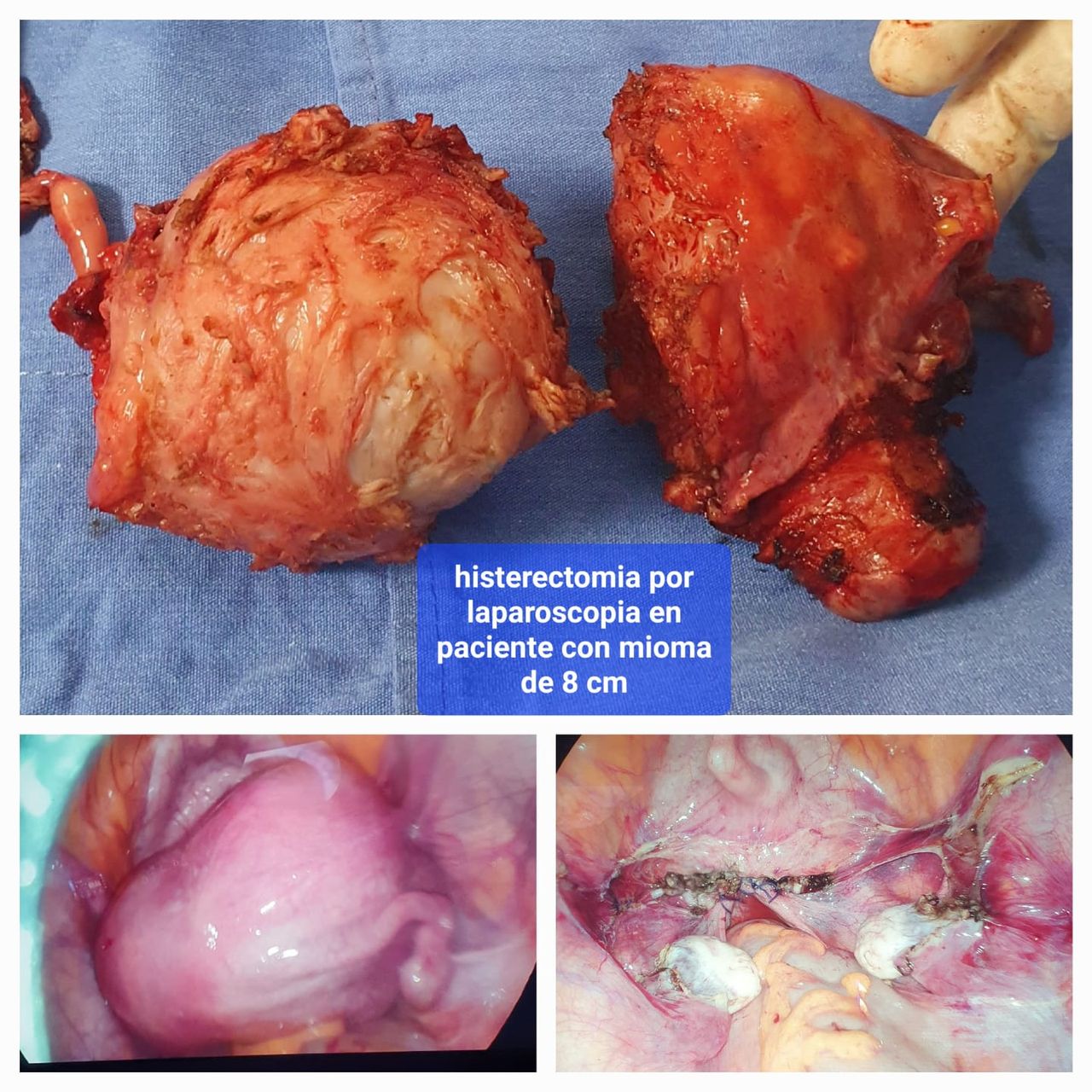 Martha Helena Cabezas Pérez-10