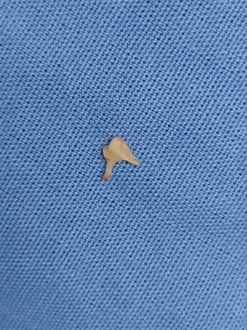 Martin Alberto Hernandez Cardenas-14