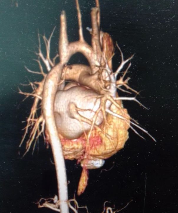 Robert Rodriguez Sanchez-9