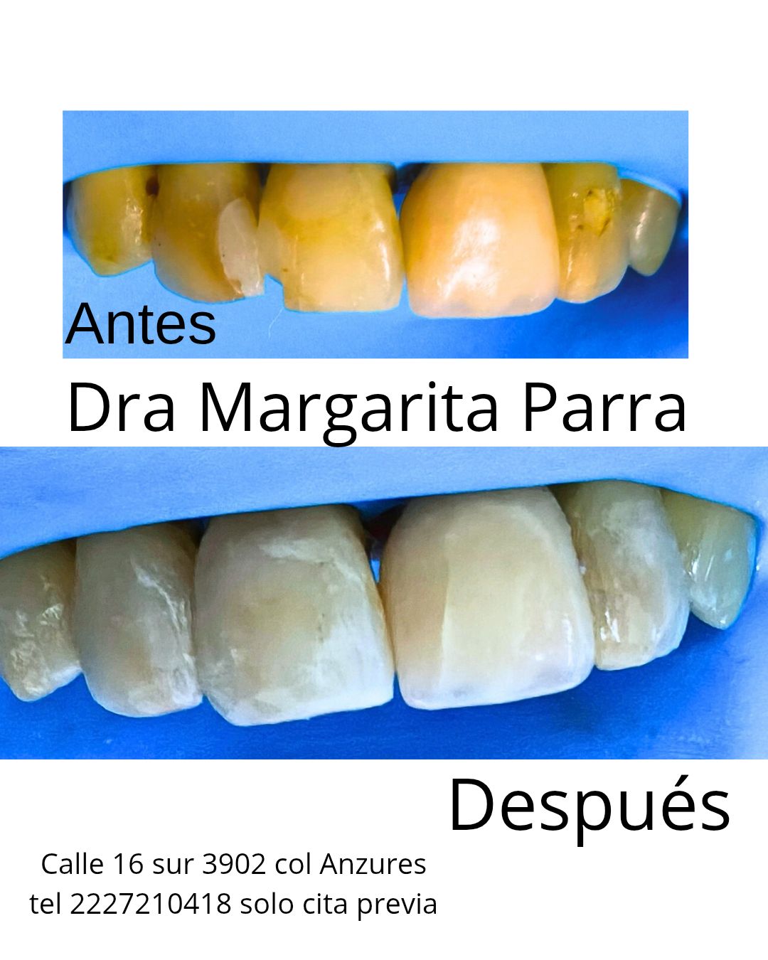 Margarita Estefania Parra Covarrubias-0