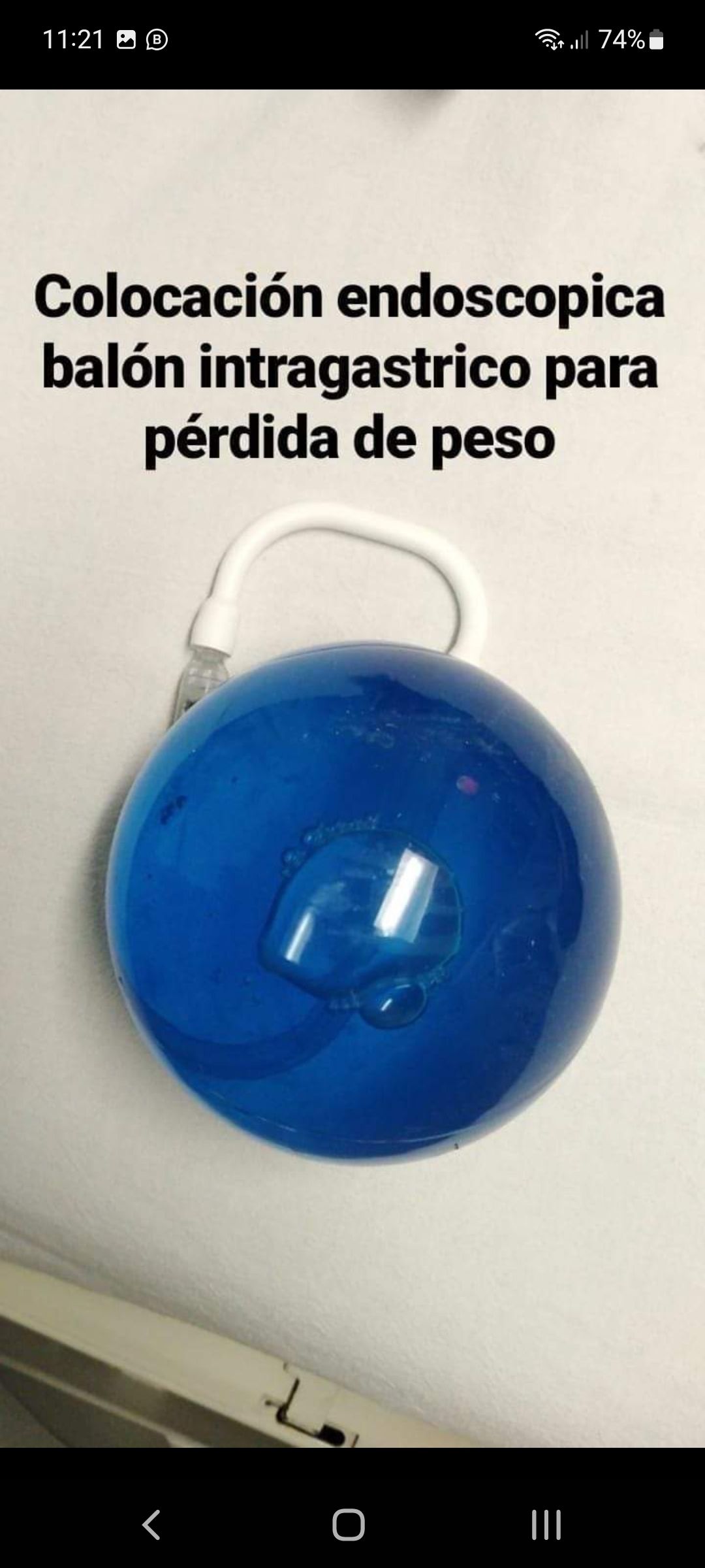 Manuel Alfonso Peña Vergara-13