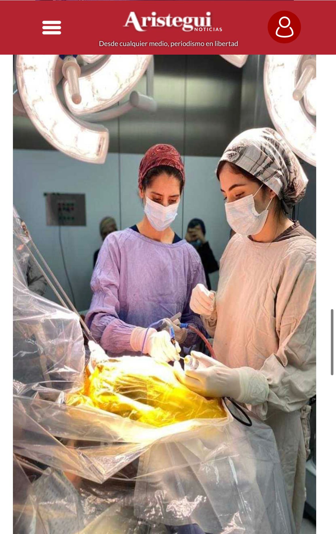 Celia Teresa De Jesús Álvarez Gamiño-8