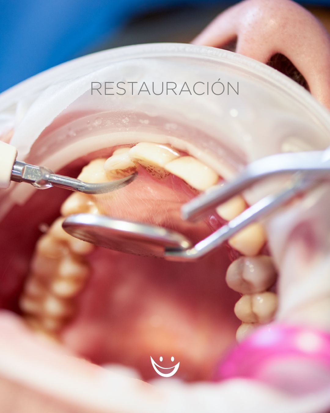 Diana De La Torre Priego-11