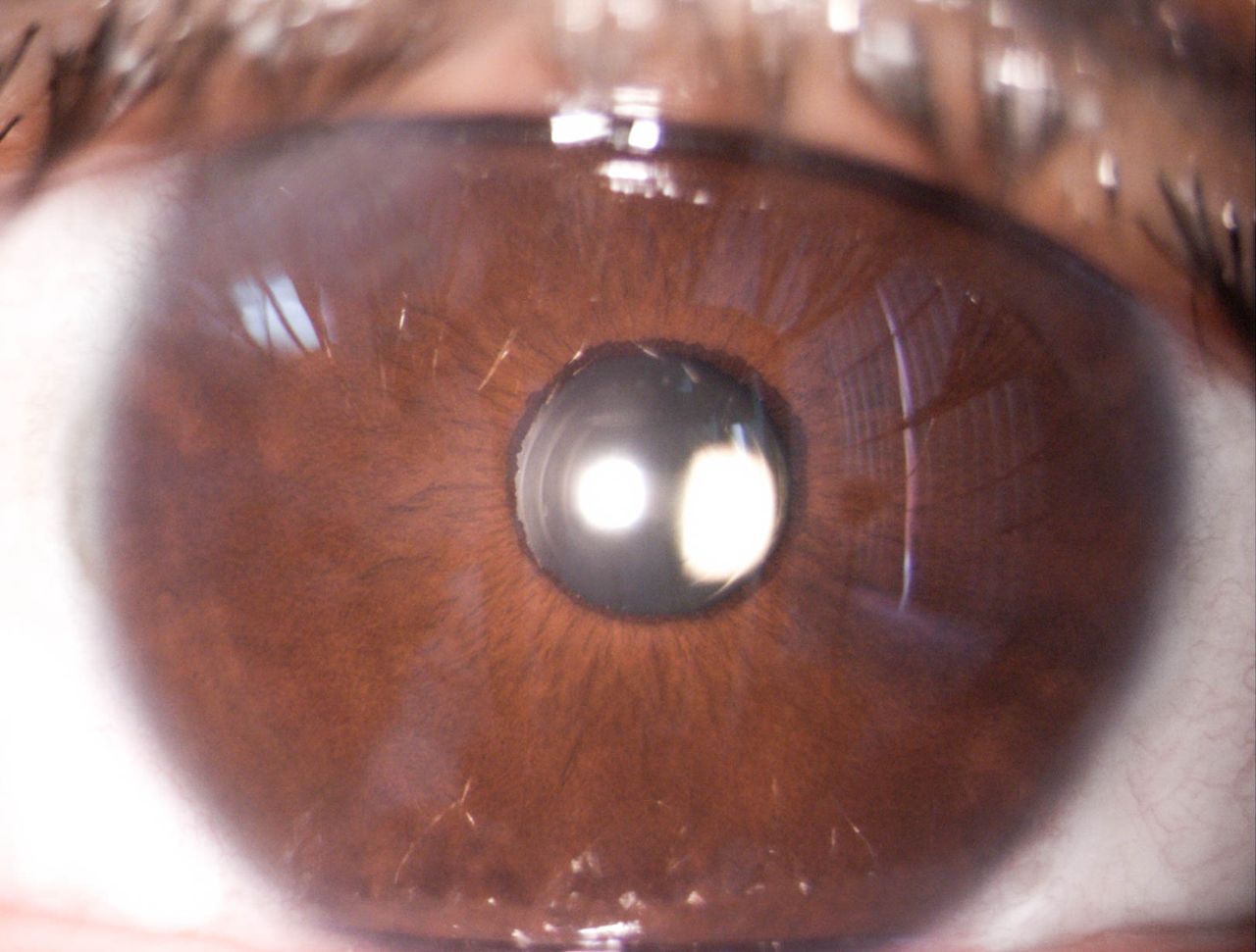 Milton M. Maldonado  Reinoso-23