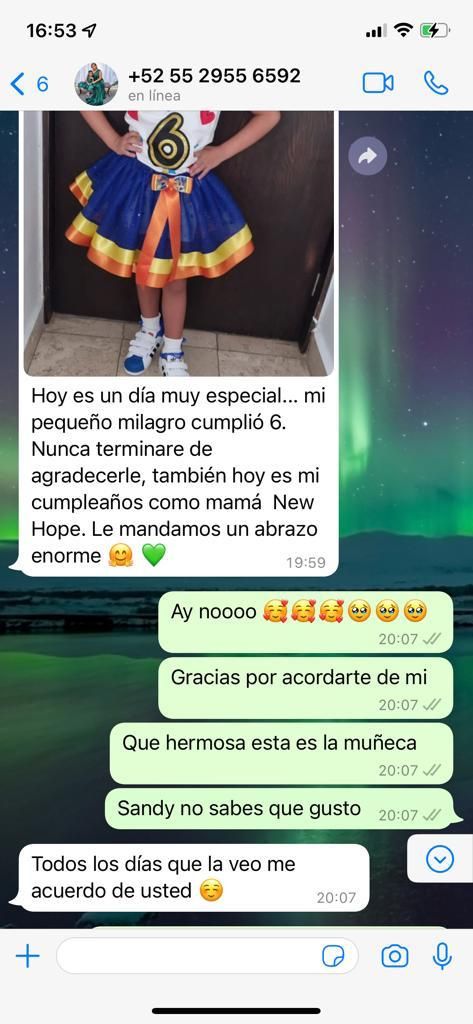 Luis Miguel Campos Olmedo-12