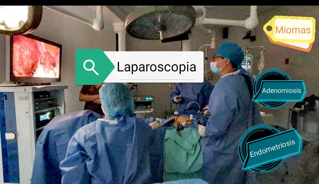 Daniel Pérez Suárez-15