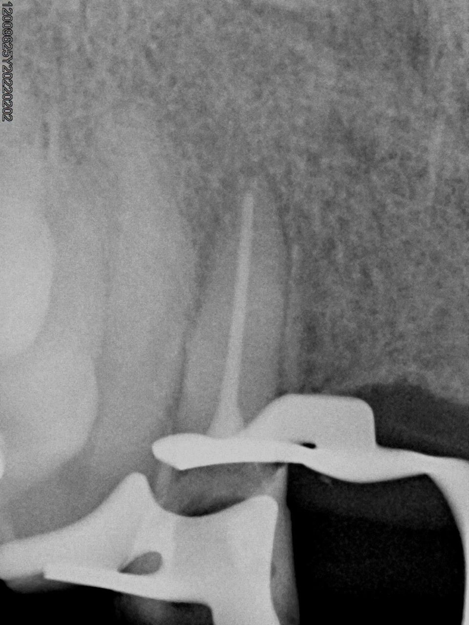 Valeria Muñoz Balboa-6