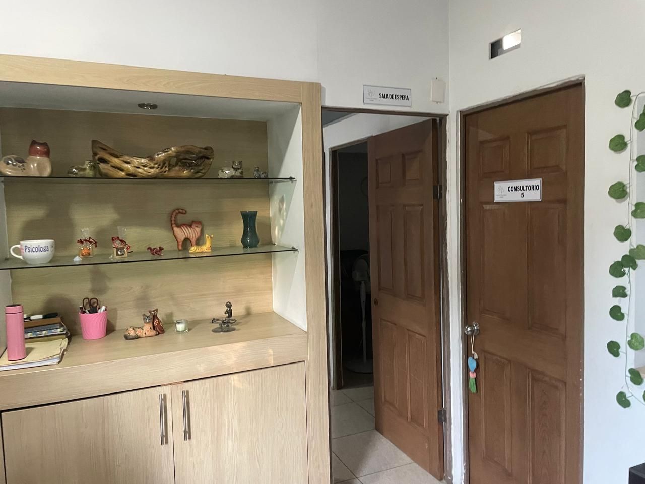 Abraham Ismael Briseño Dueñas-7