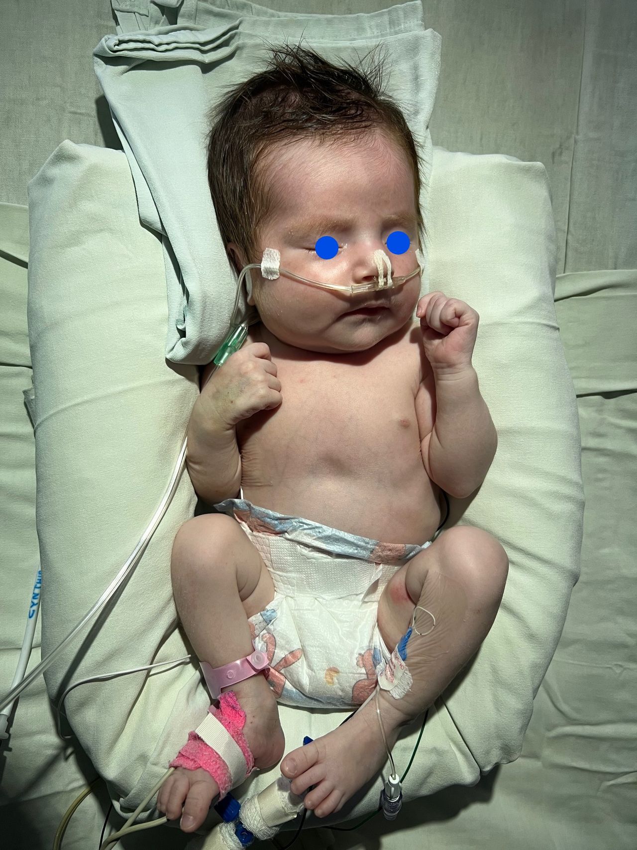 Ismael Medécigo Costeira-0