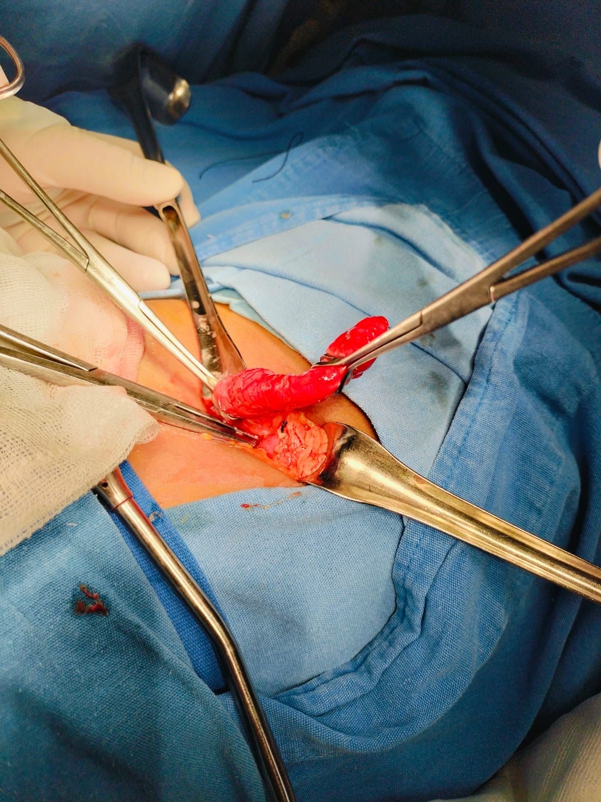 Luis Ernesto Maldonado Villela-0