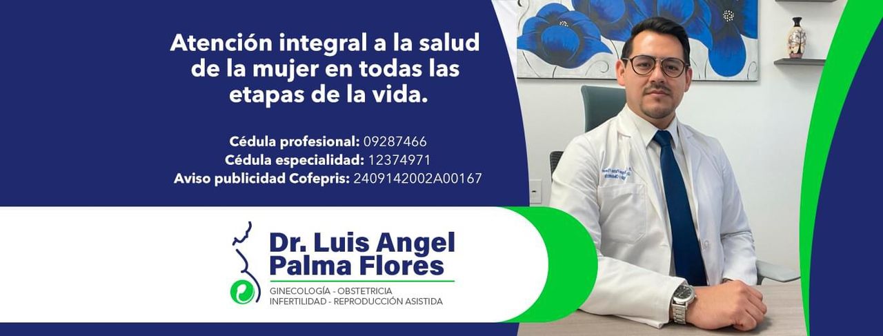 Luis Angel Palma Flores-0