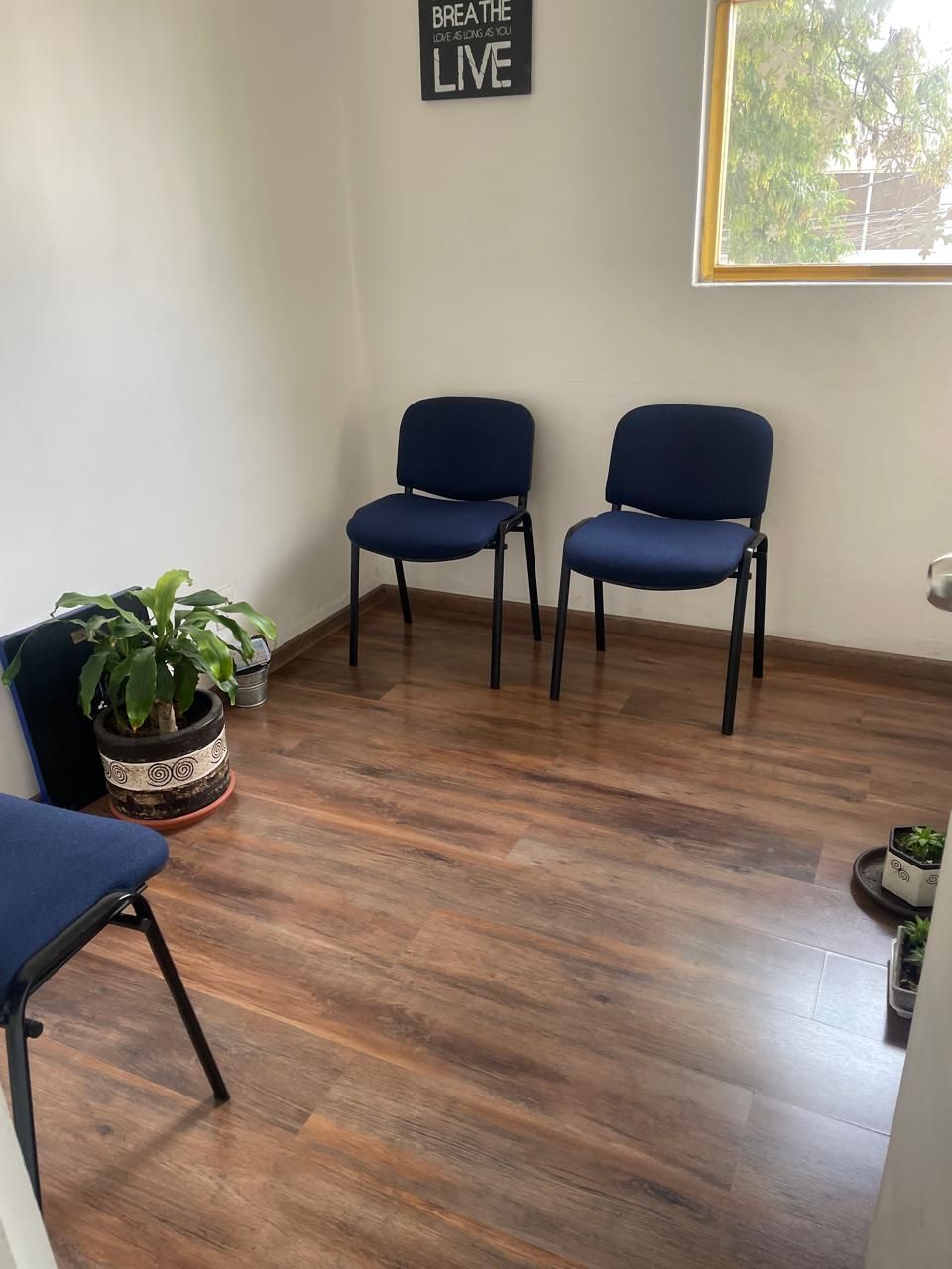 Celia Jovita Chávez Barrientos-0