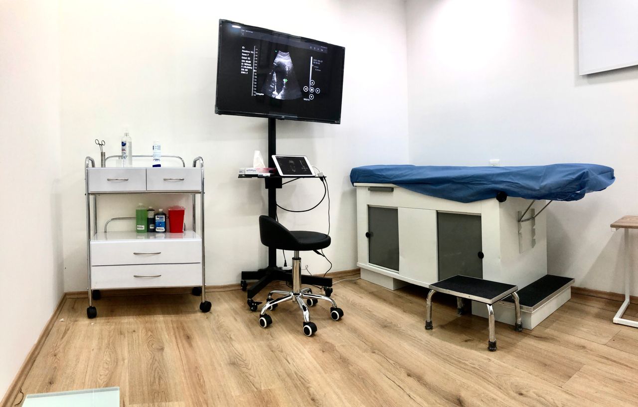 Mario Alberto Moreno Corrales-4