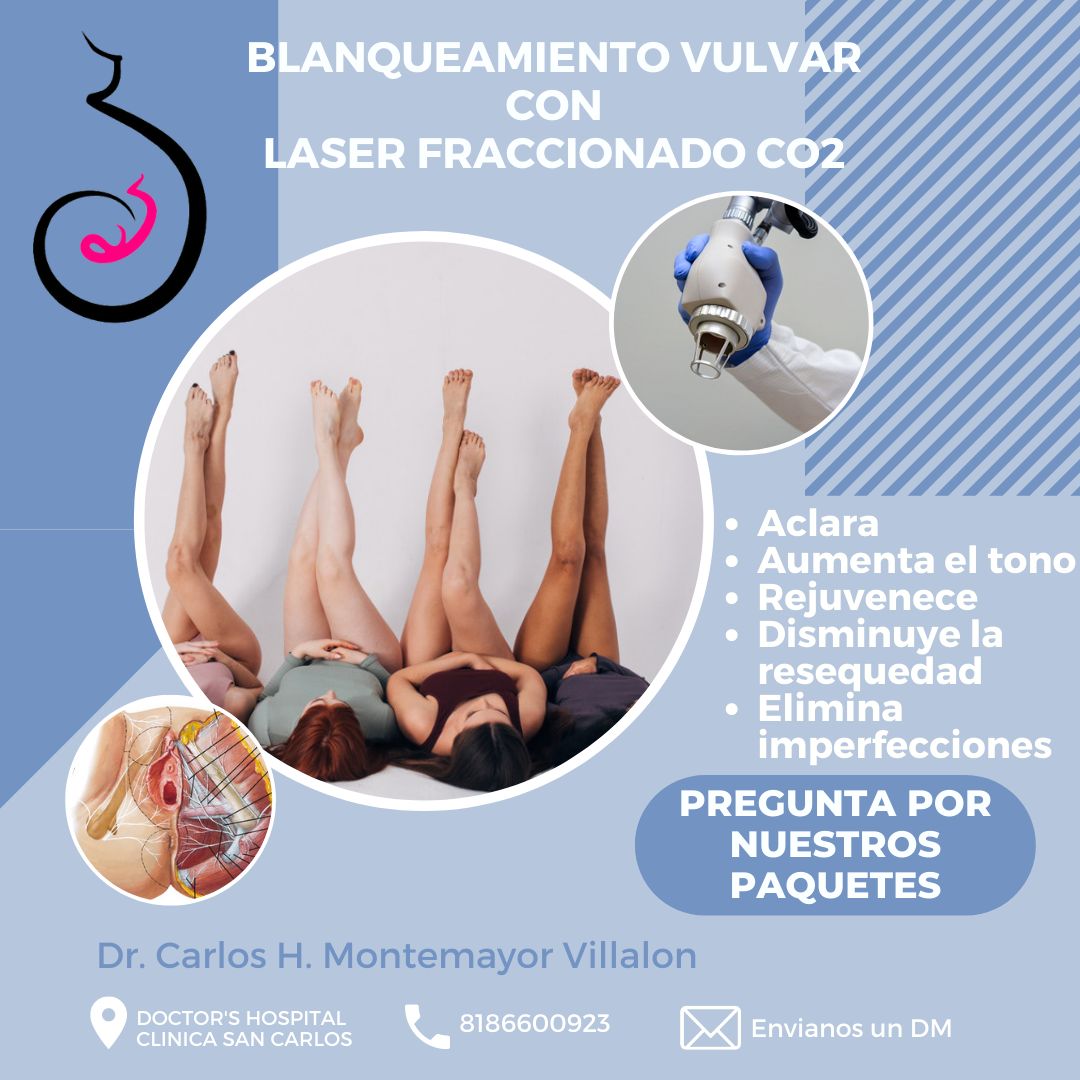 Carlos Humberto Montemayor Villalon-12