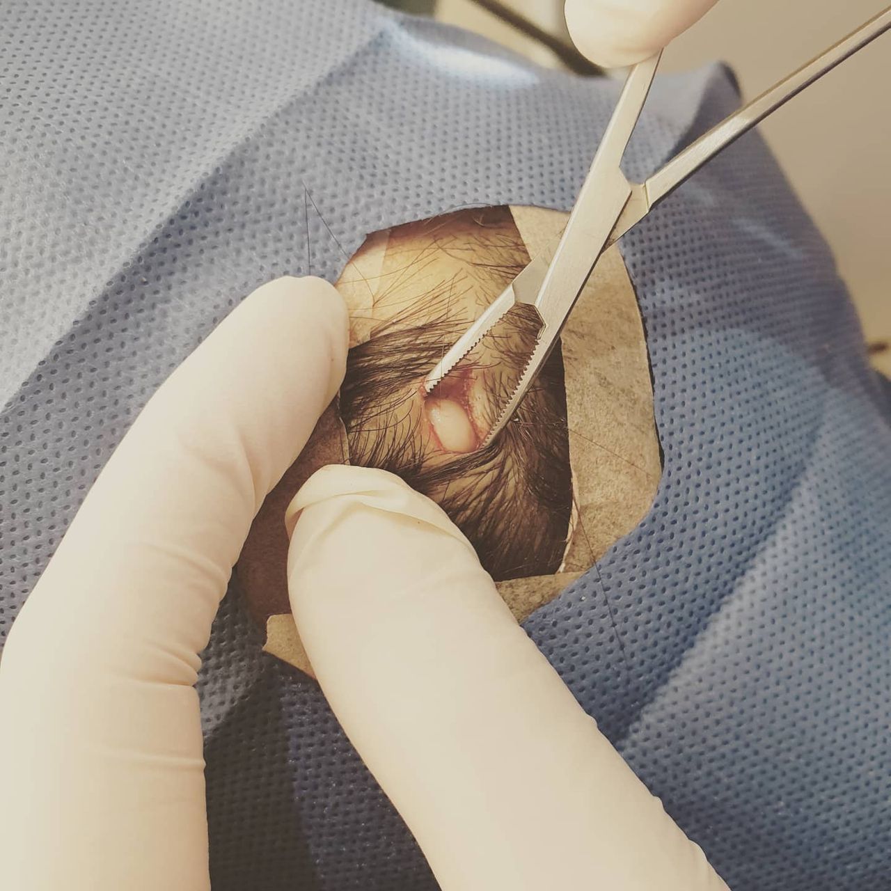 Alejandra Maria Corona Sandoval-45