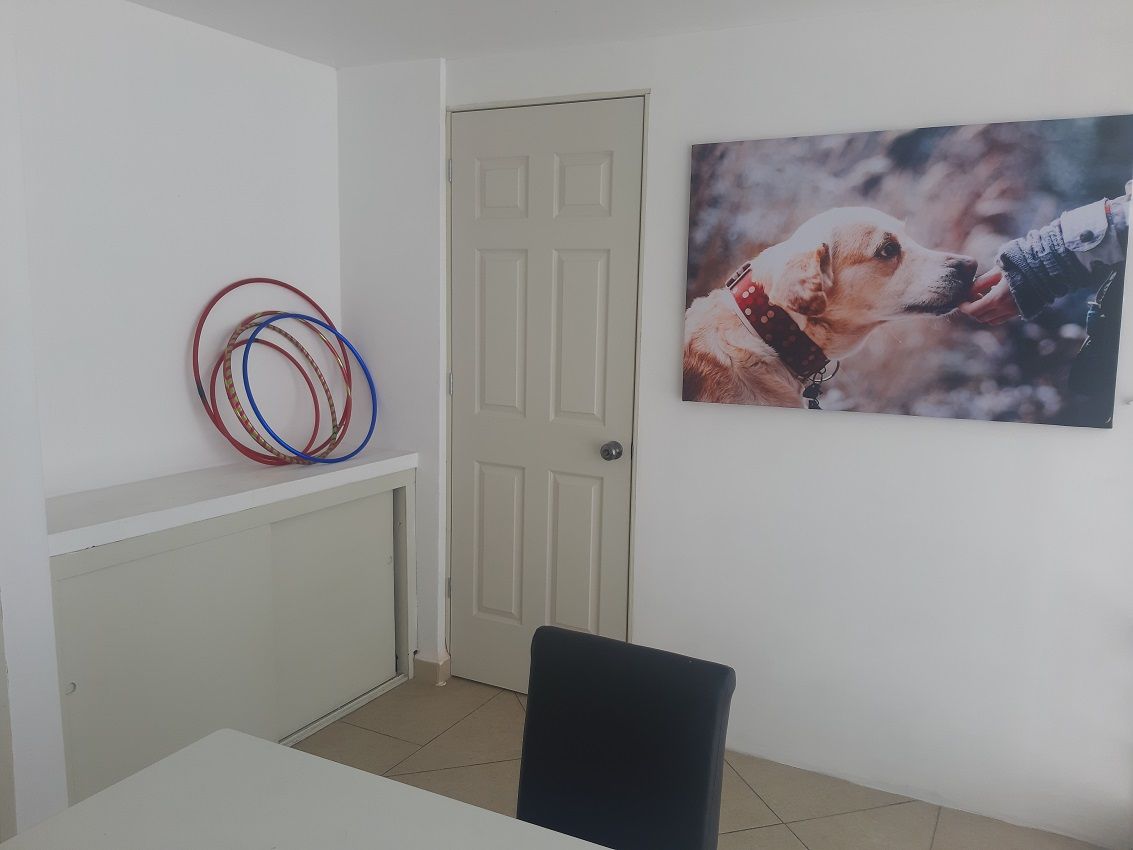 Gabriel Bonilla Abrego-9