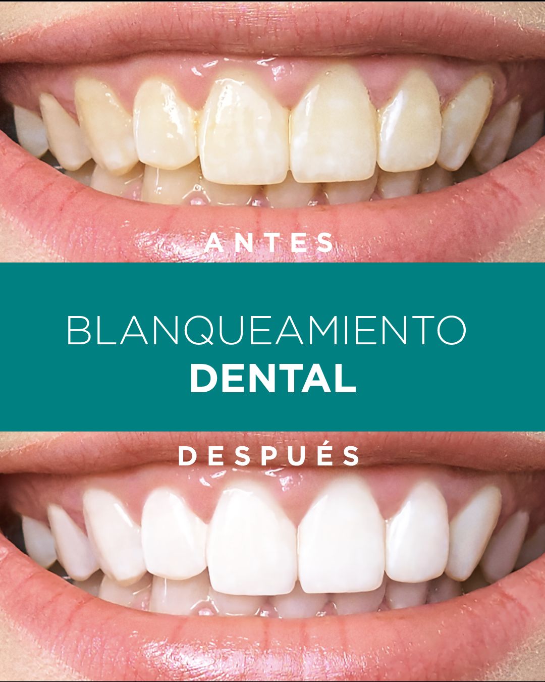 Diana De La Torre Priego-50