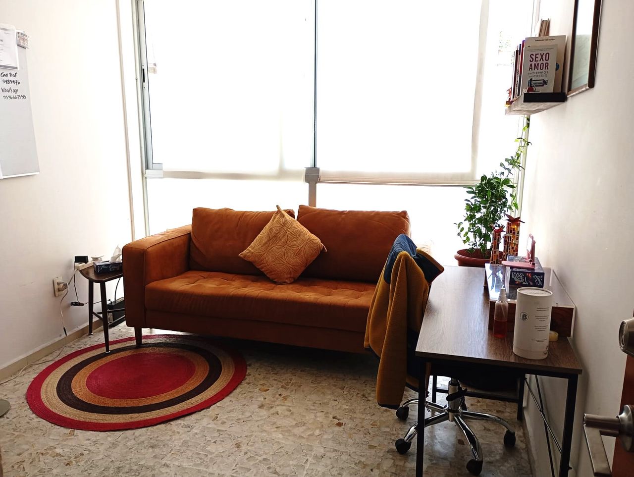 Cecilia Pingarrón-0