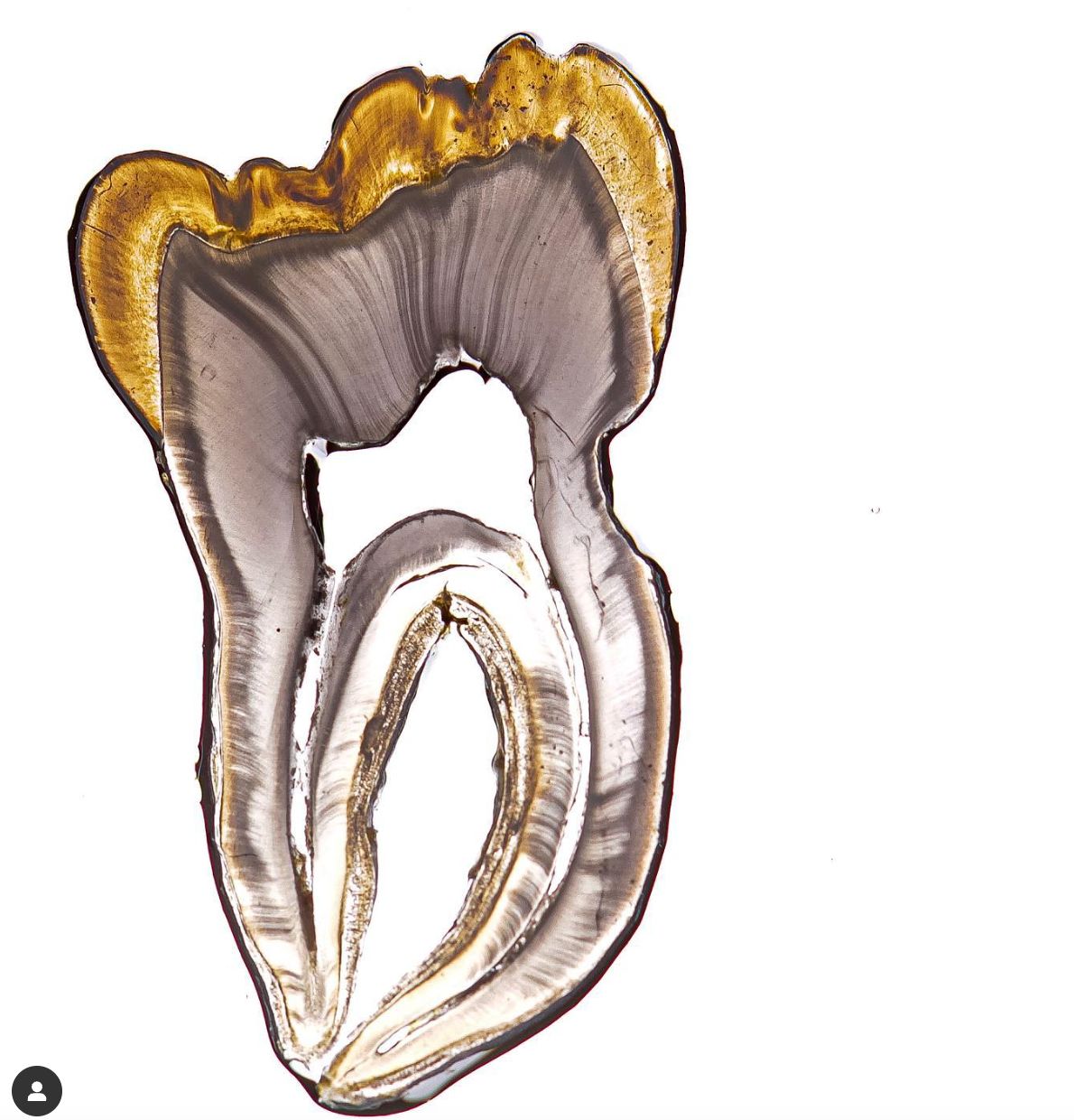 Daniel Montalván Aguilar-9