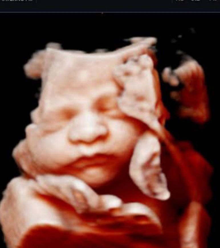 María Teresa Flores Molina-15