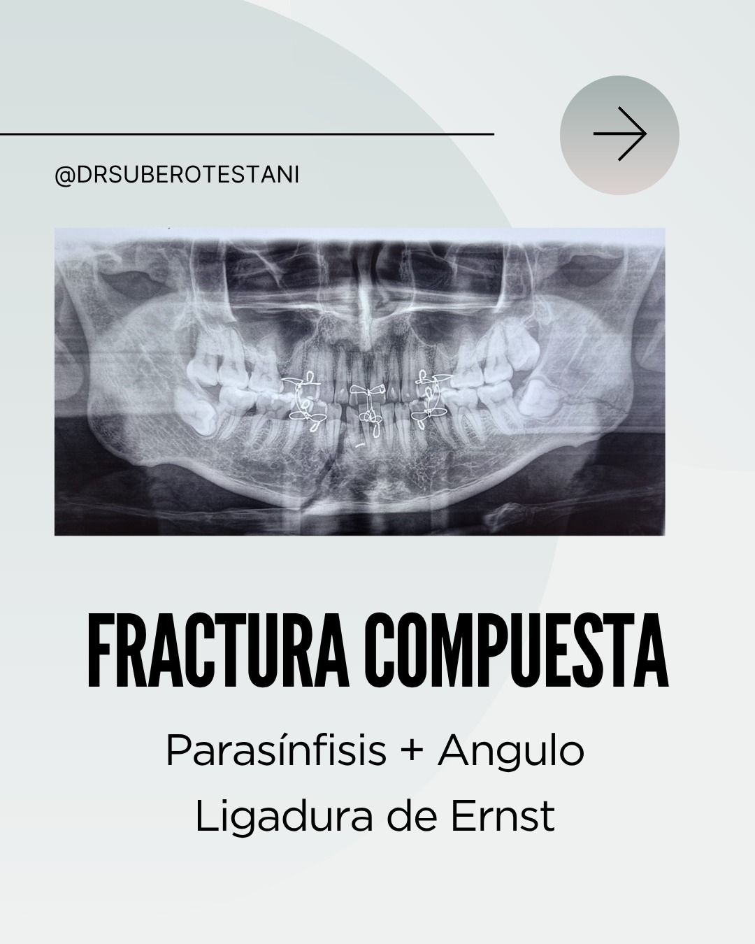 Rodolfo R. Subero Testani-10