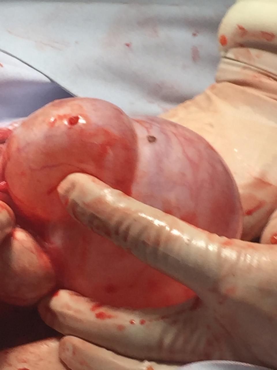 Rubria Irene López Sánchez-2