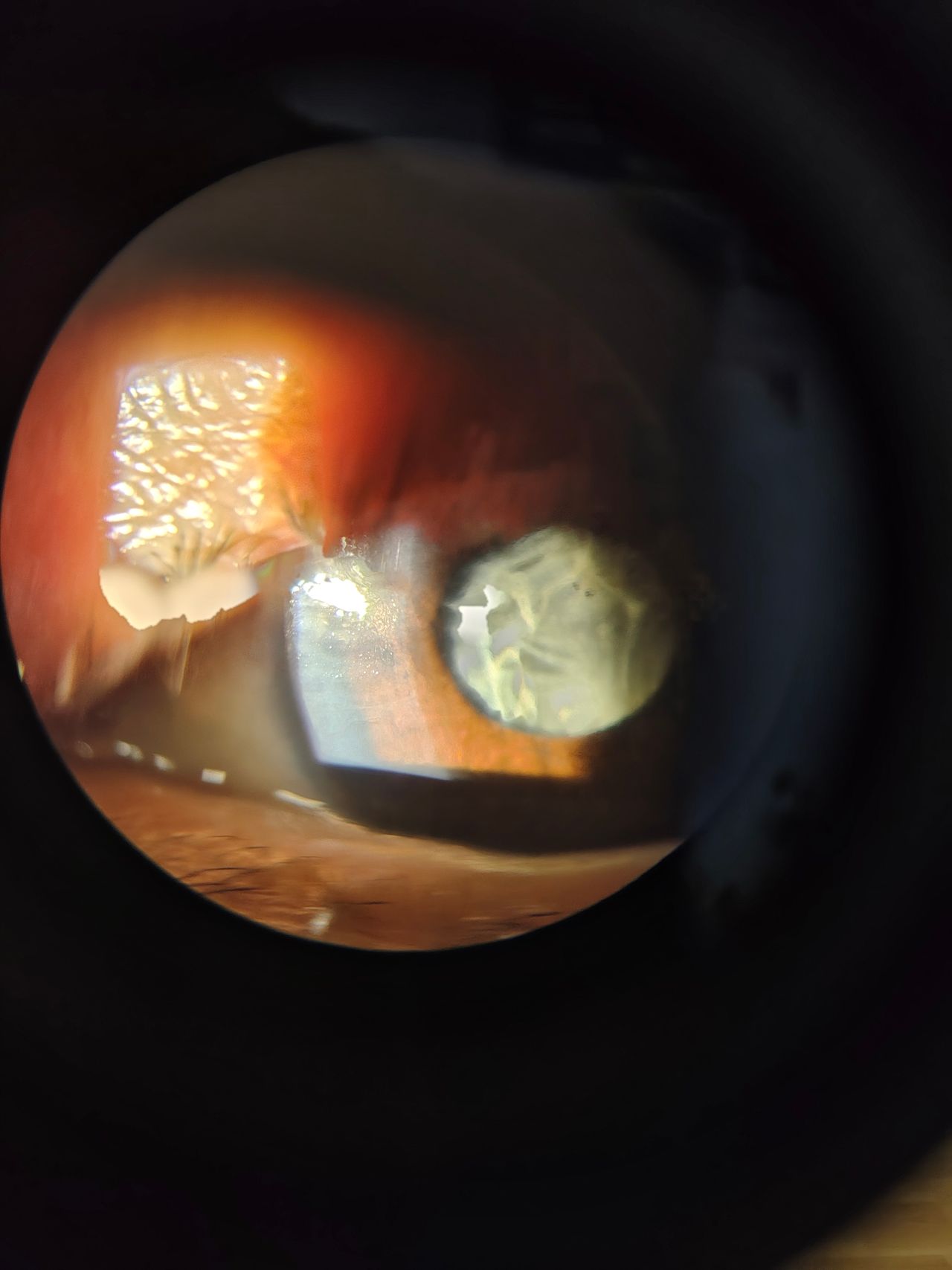 Álvaro Garza Arreola-0