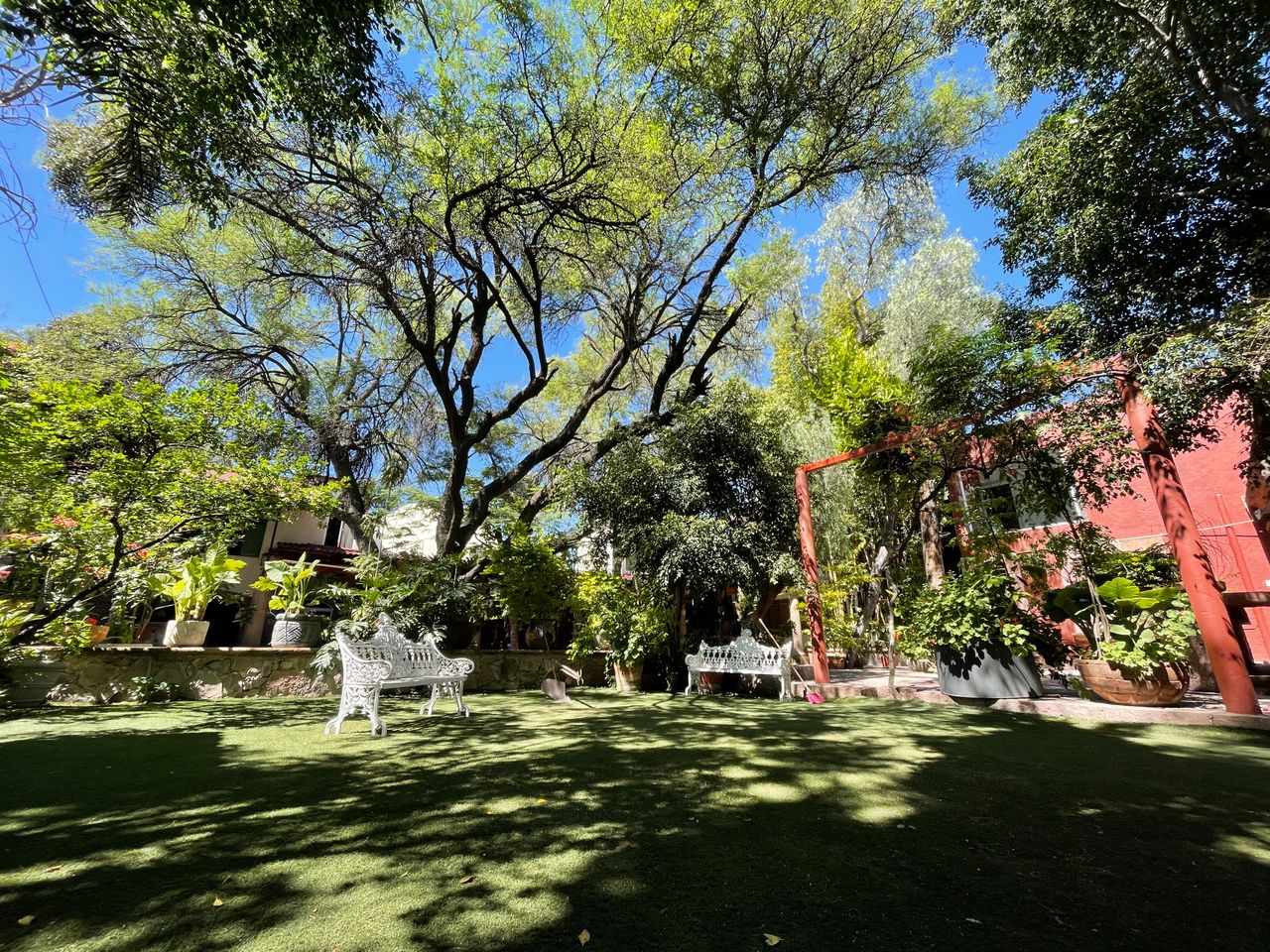 Laura Evia Escalante-10