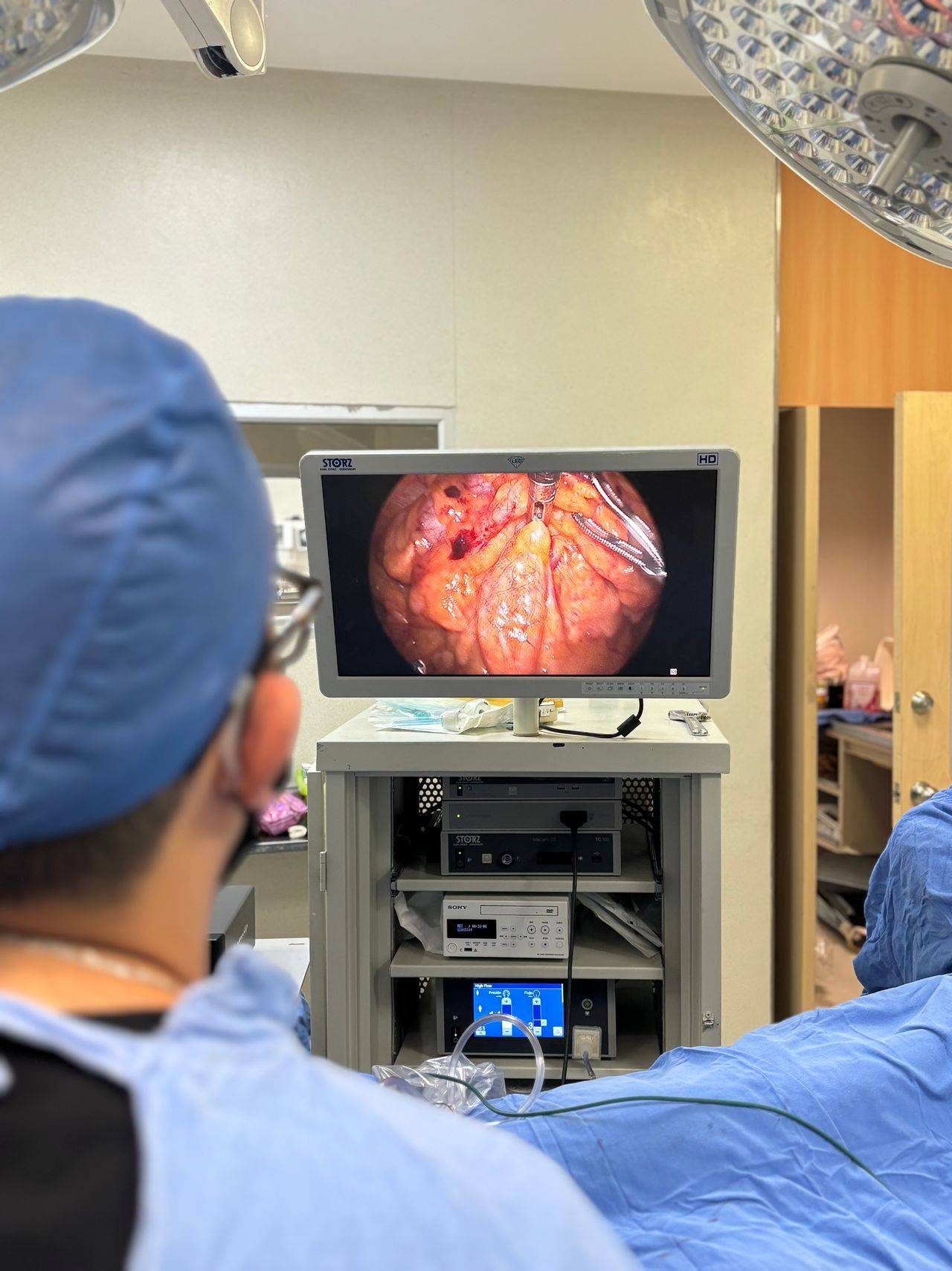 José De Jesús Nuñez Aguilar-13