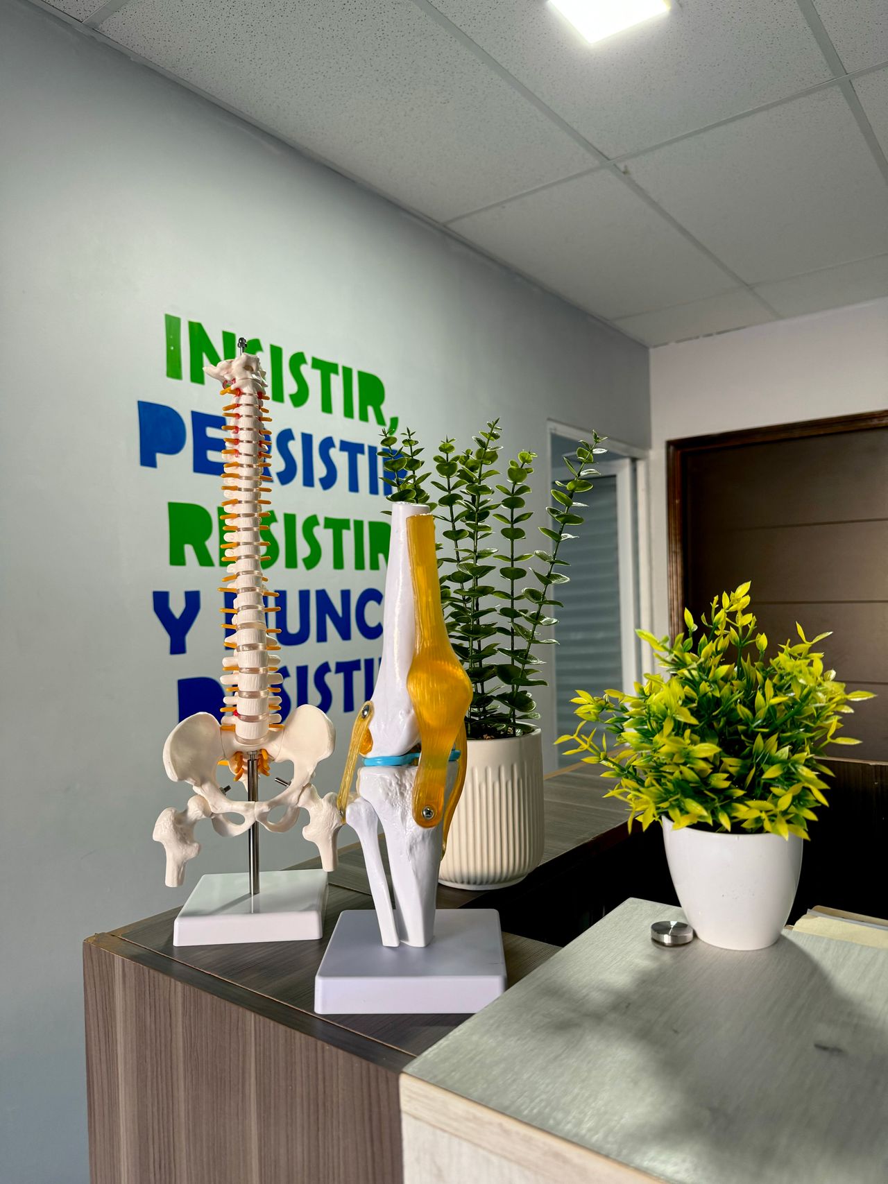 Ricardo Villanueva Aragón-0