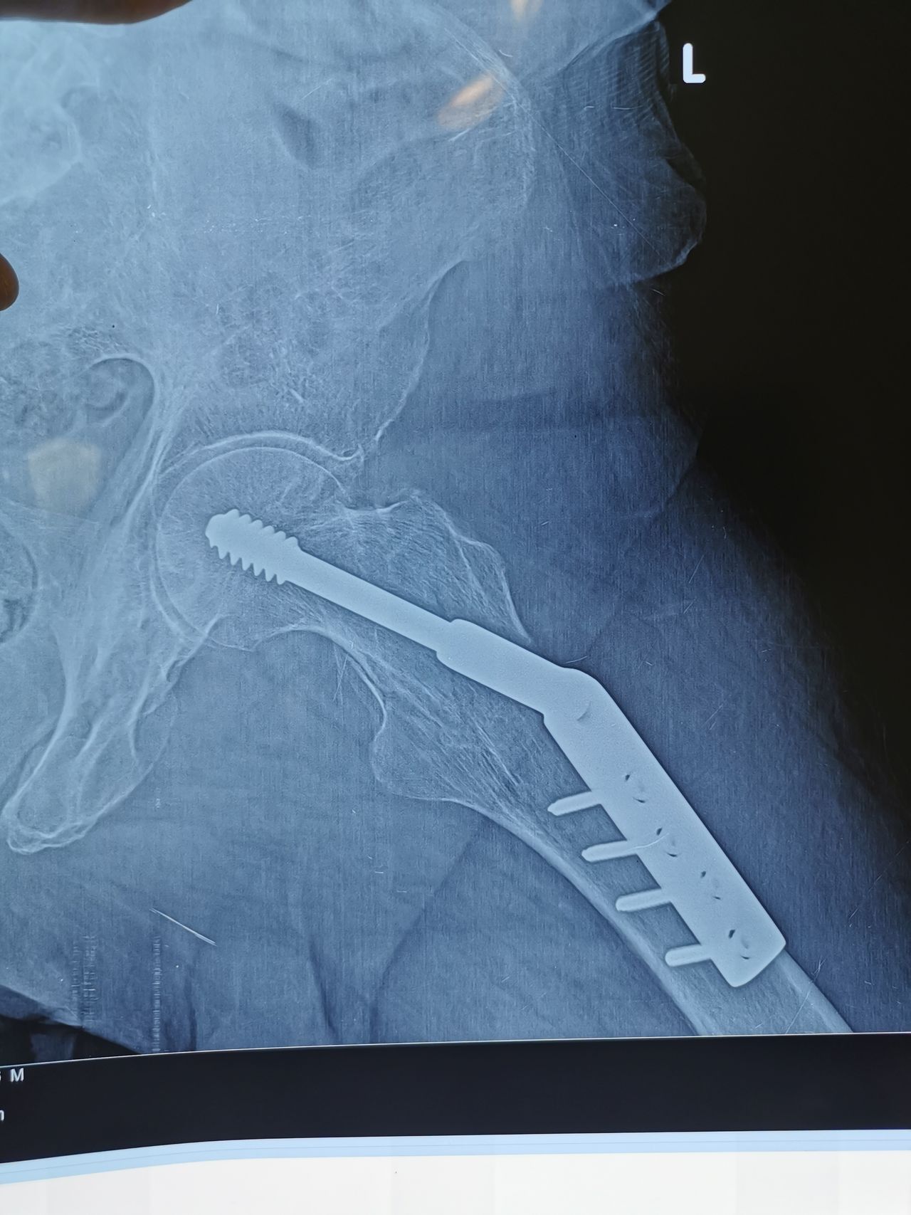 Sergio Torrecillas Serna-39