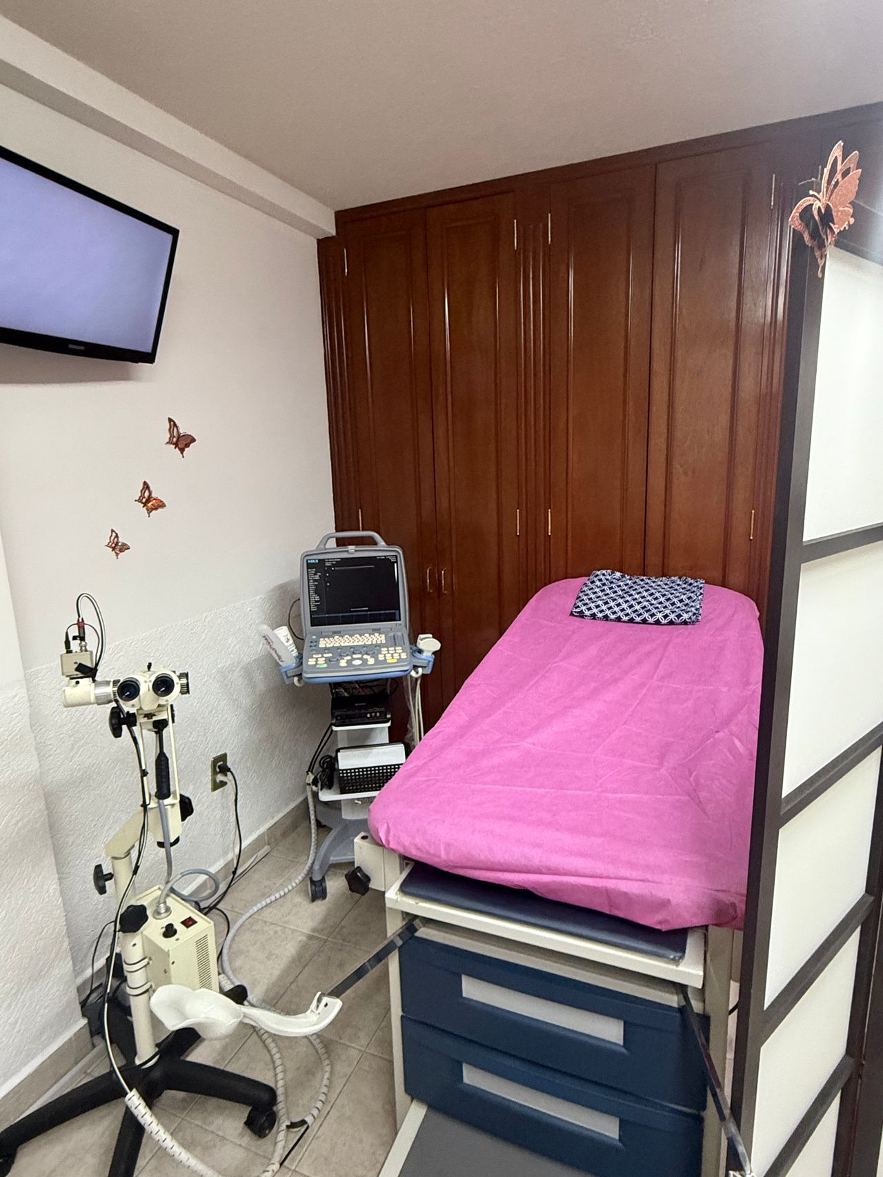 Gemma K. Bahena Hernández-0