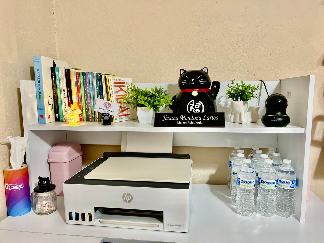 Jhoana Mendoza Larios-31