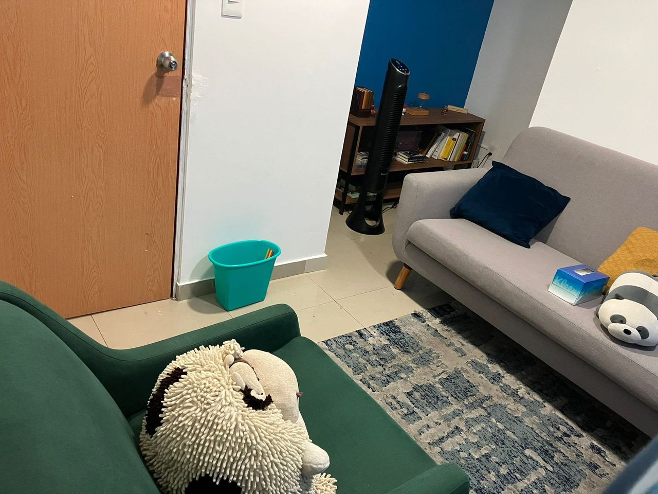 Luis Fernando Rodríguez Meyer-1