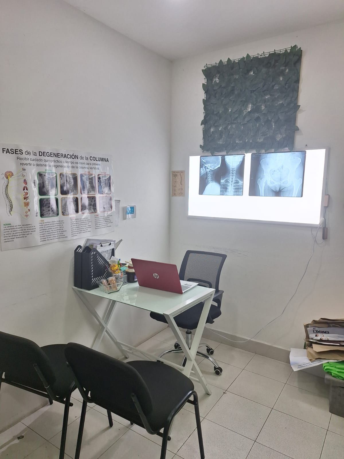 Alexiee García Alpide-7