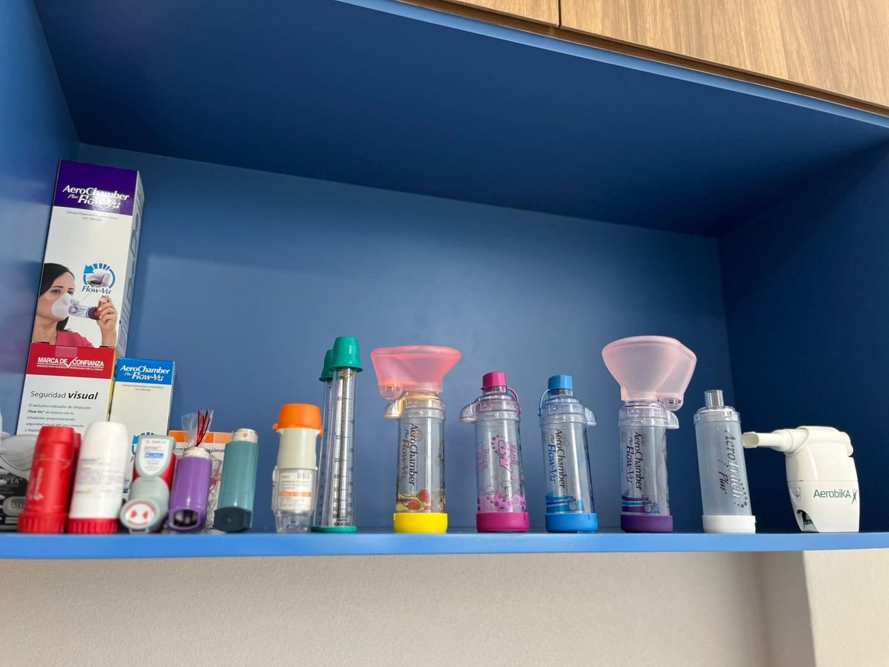 Daniela Guadalupe Velázquez Munguía-3