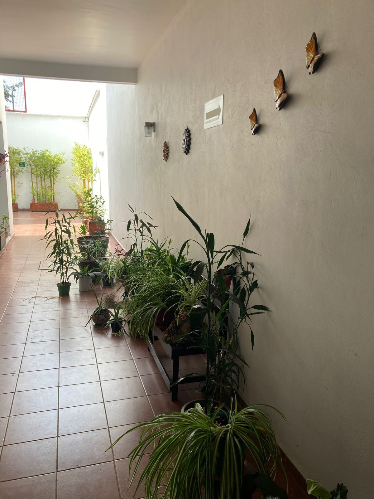 Veronica Mafud Pérez-6