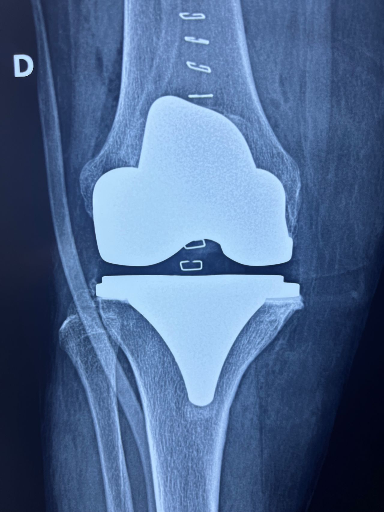 Jesus Armando Silvestre Guzman-8