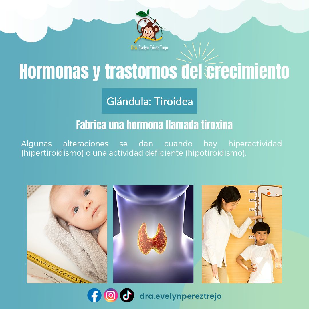 Evelyn Perez Trejo-87