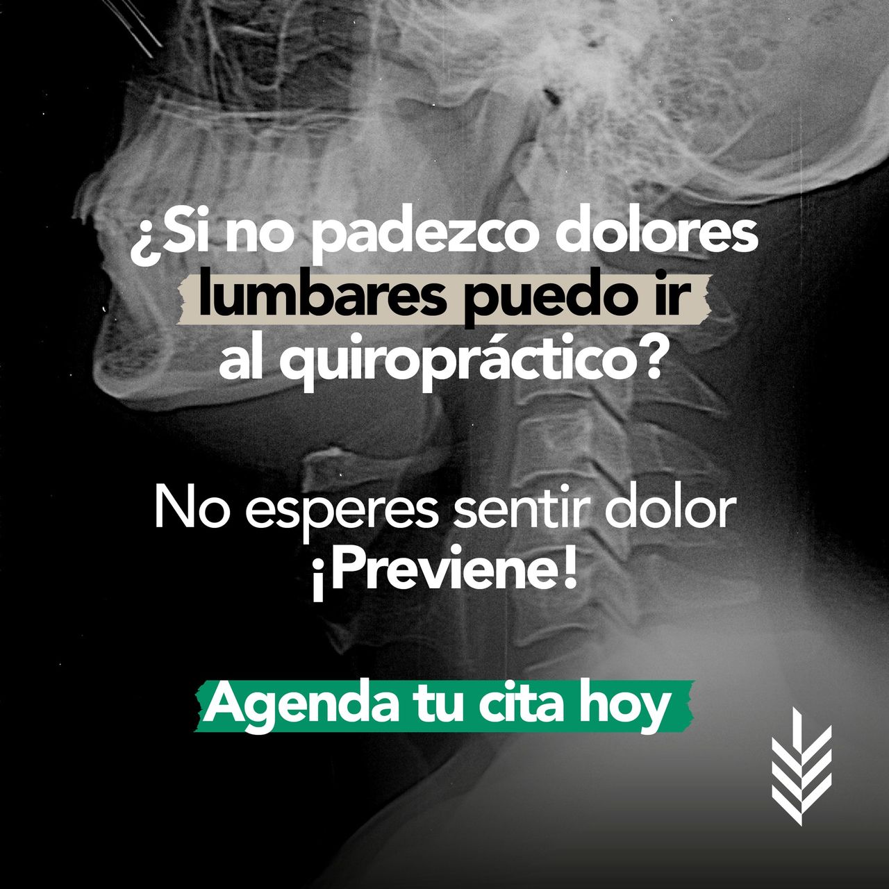 Magdalena Itzel Martínez Hernández-3