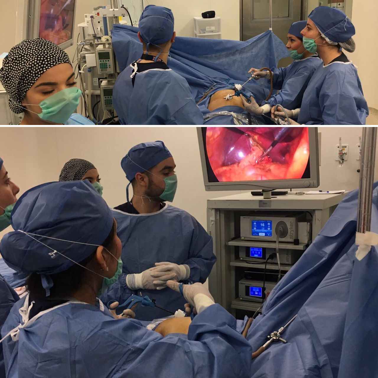 Irasema Salgado Falcón-15