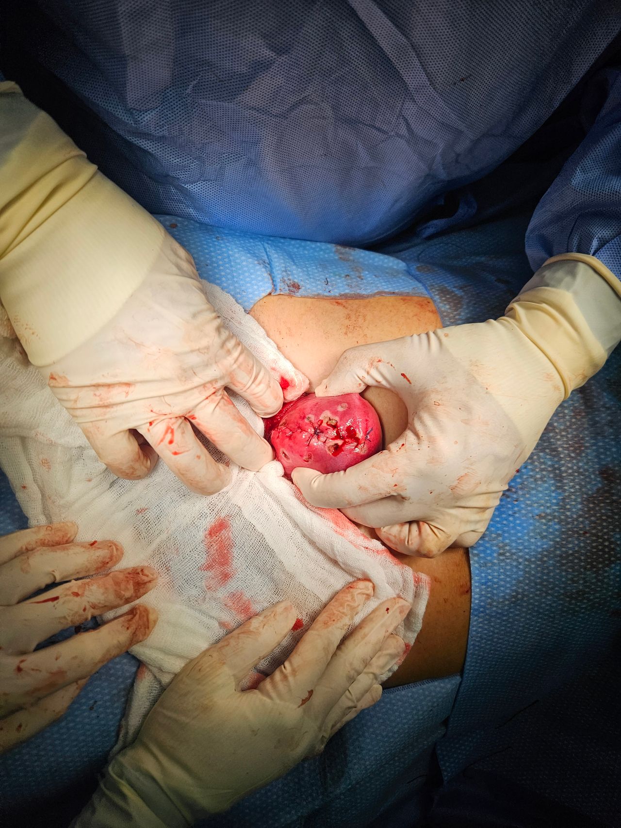 Jorge Alberto Rodriguez Pezino-25