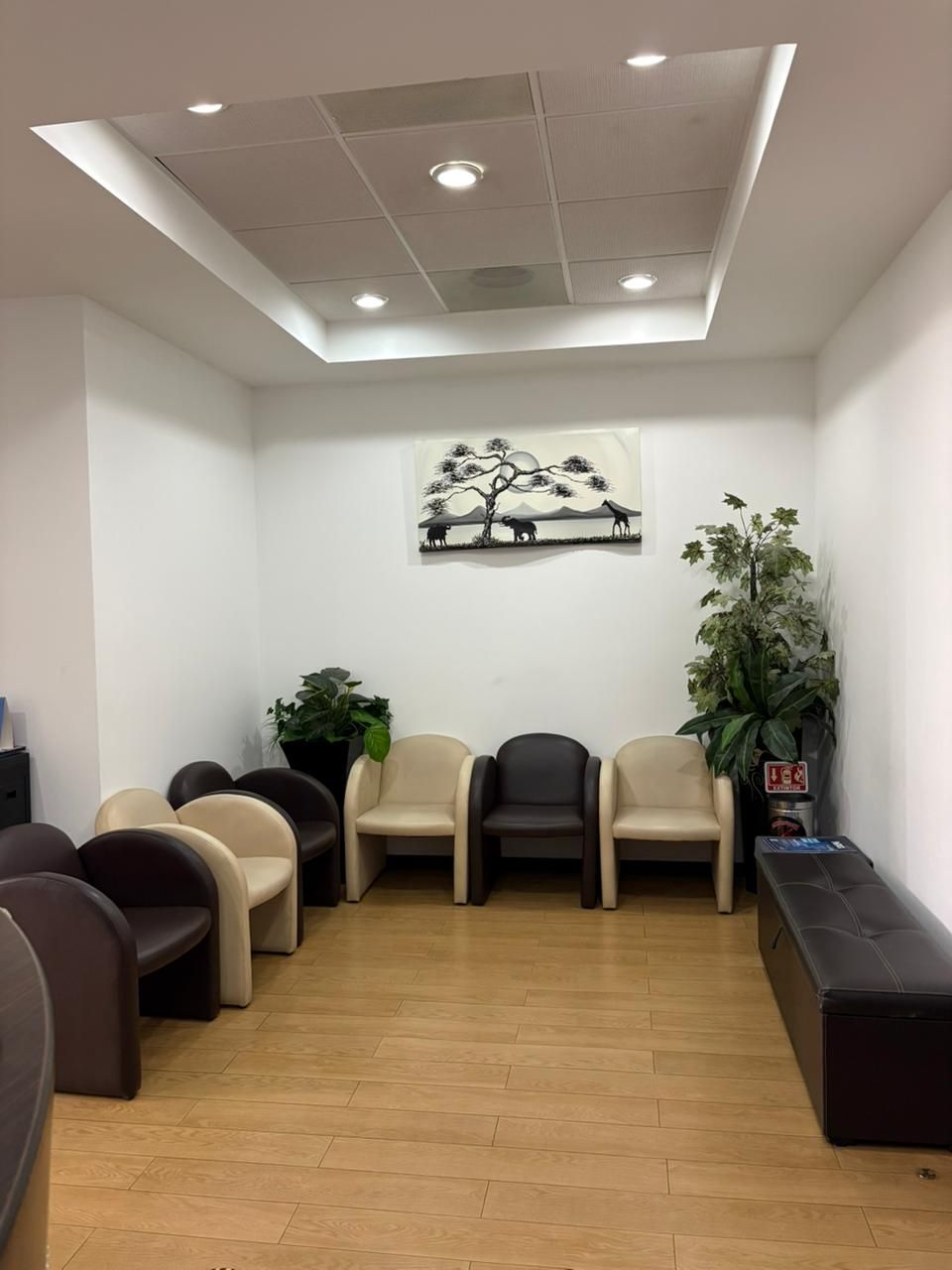 Carolina Aguirre Sanchez-3