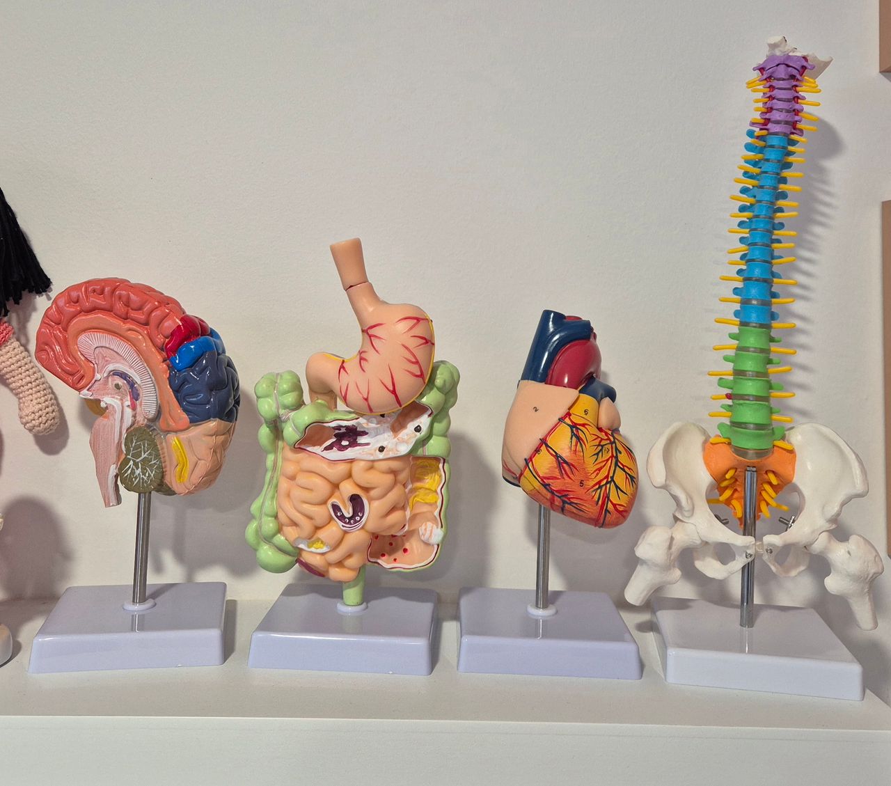 Atzintly Marleny Morales Rabanales-2