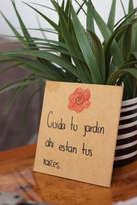 Celina Villarreal Pineda-2