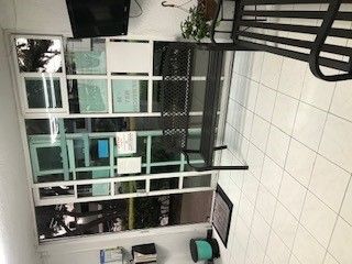 Luz Elena Amezcua Llauger-1