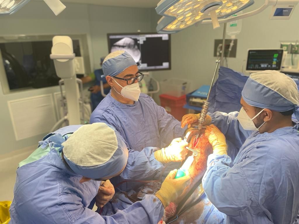 Felix Alfaro Arias-28