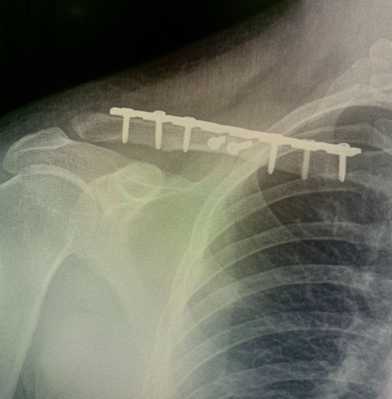 Guillermo Fernández De Lara Guevara-15