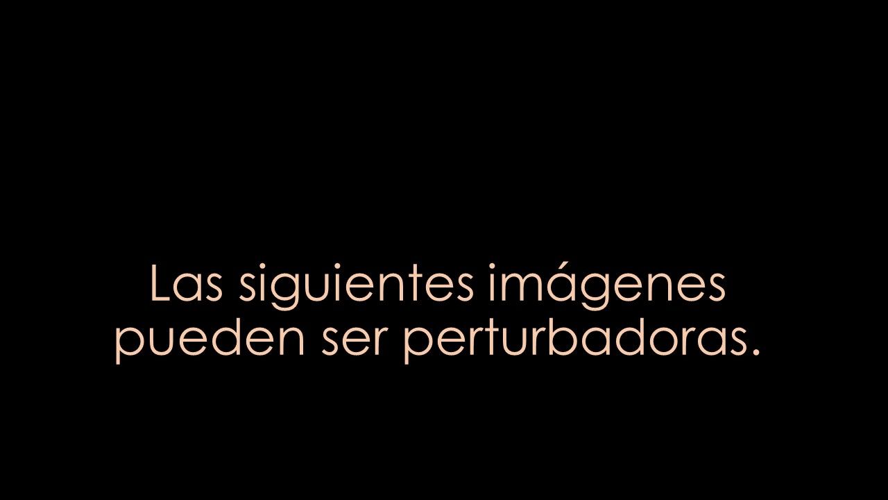 Adriana Ramos Carrillo-22