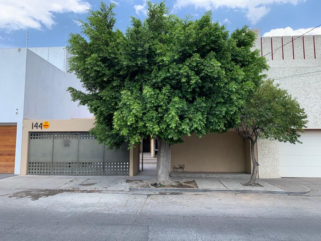 Fernando Lovato Salas-2